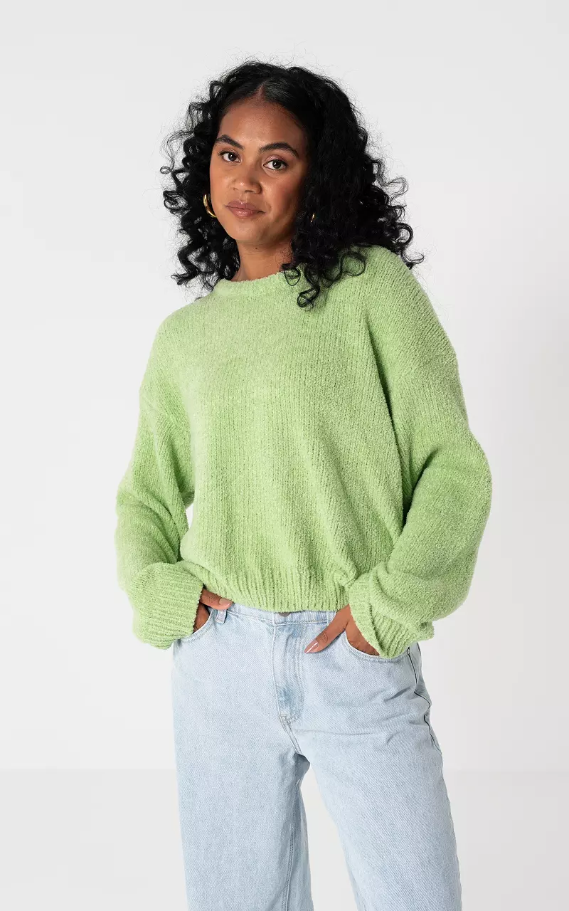 Round neck sweater Light Green