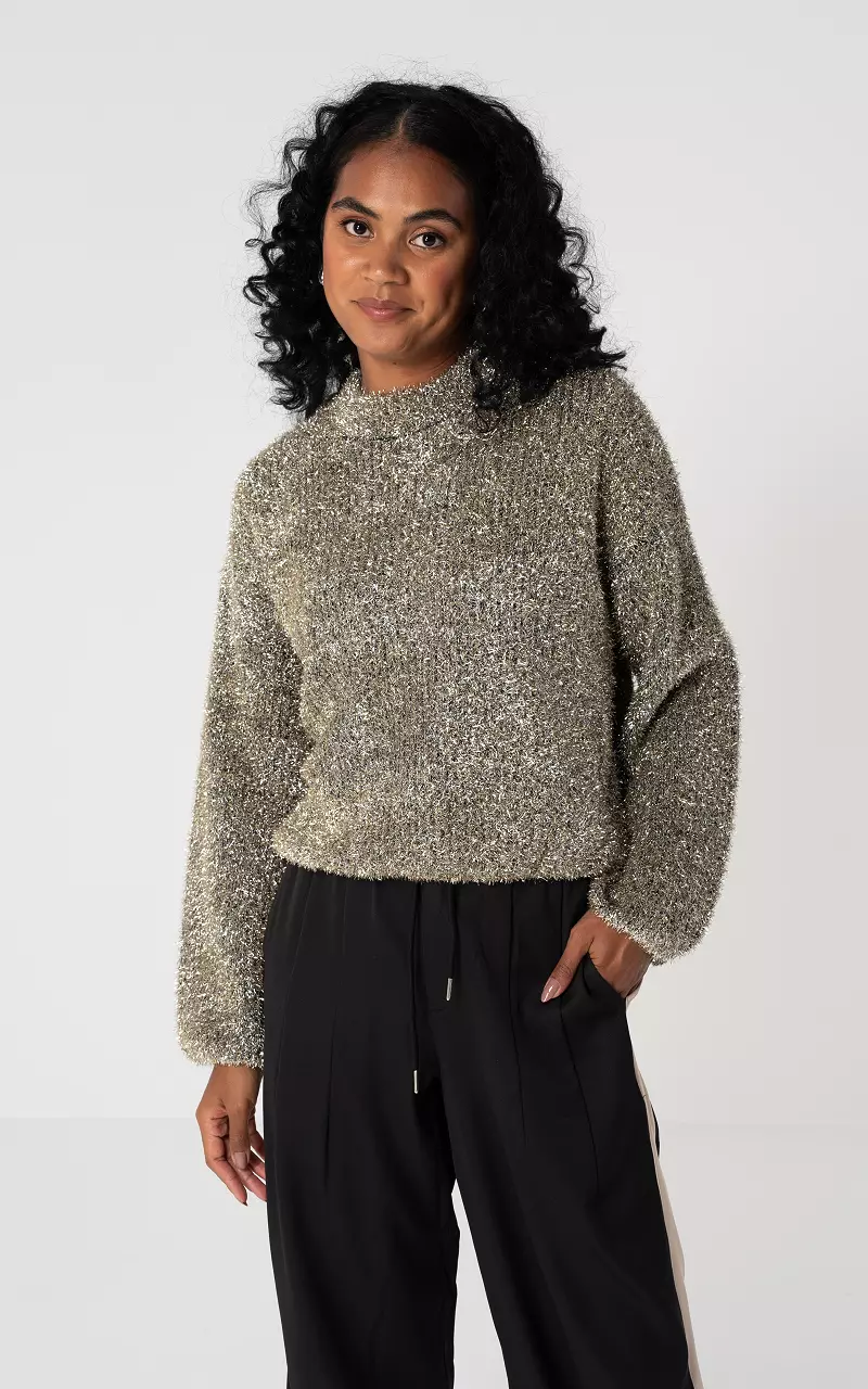 Glitter sweater with high neck Champagne