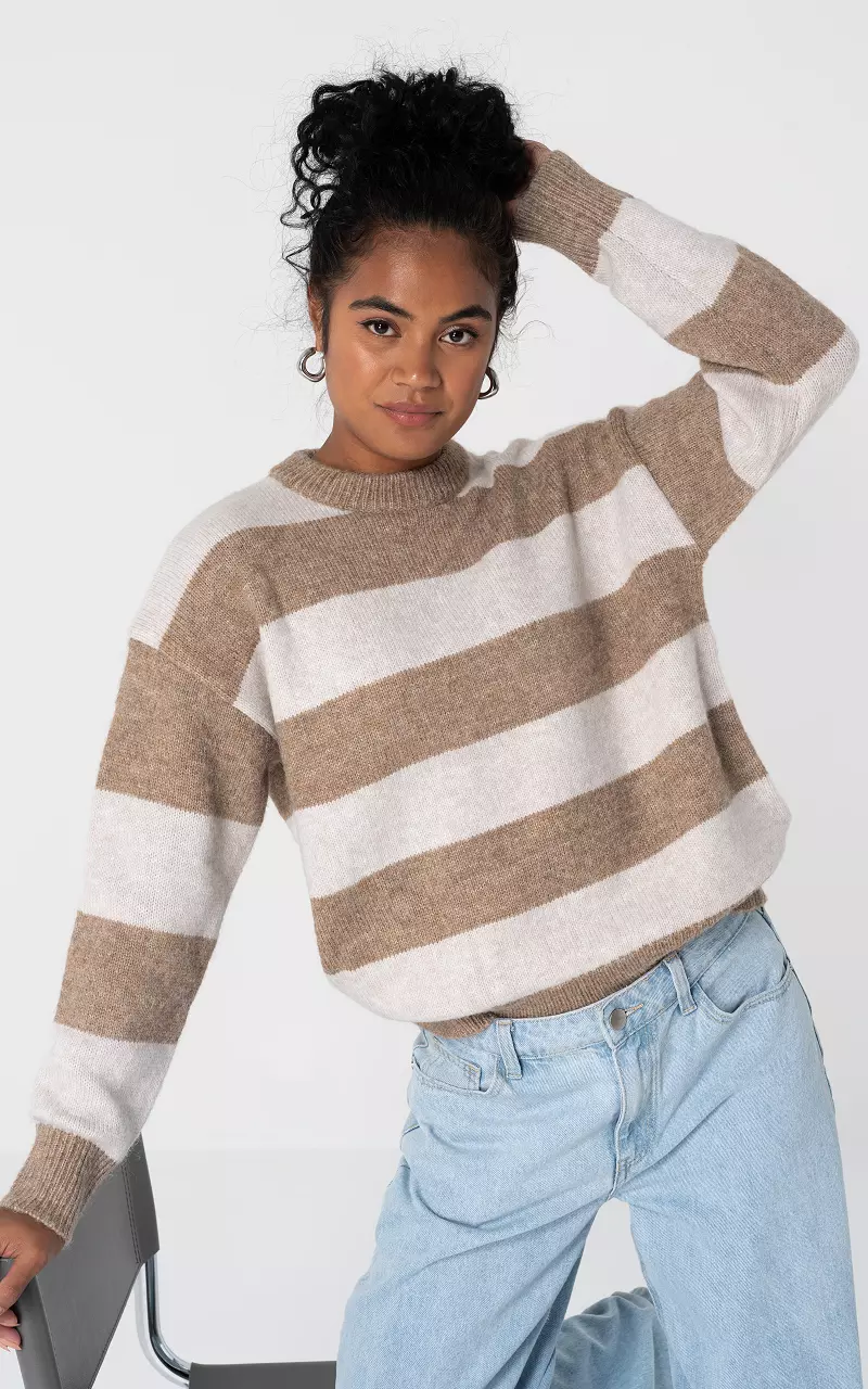 Sweater with round neck Beige Light Brown