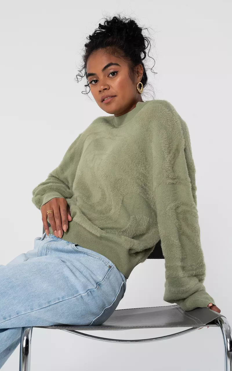 Sweater with round neck Light Green