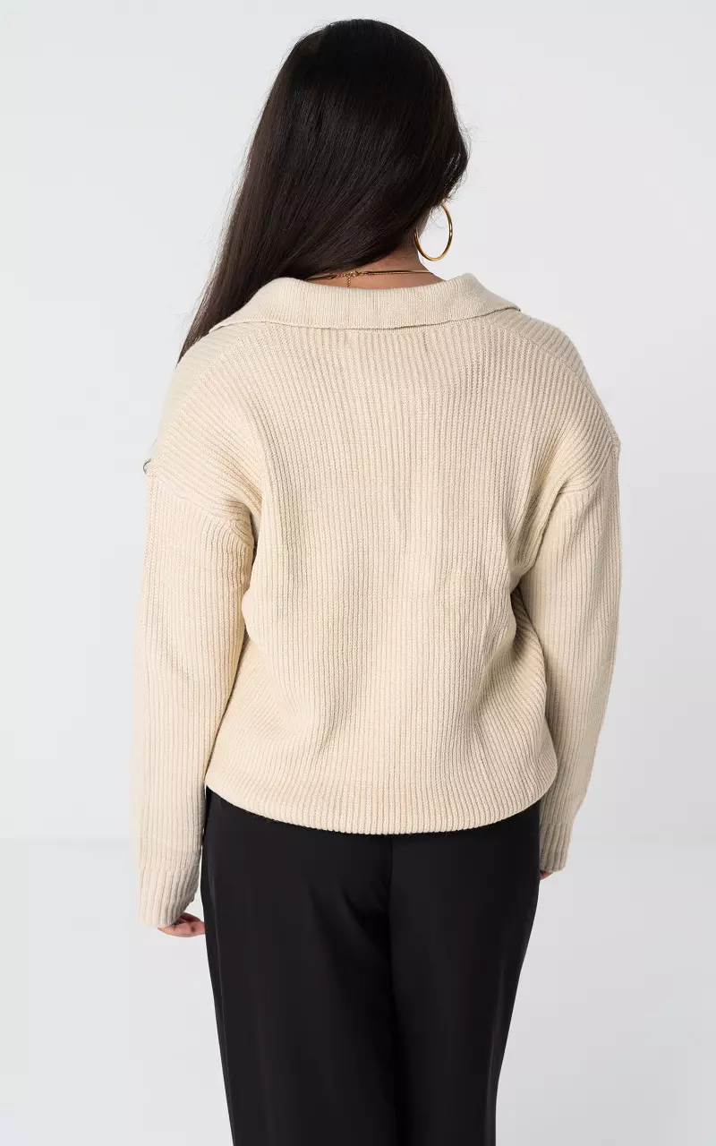 Trui met v-hals en kraag Beige Zwart