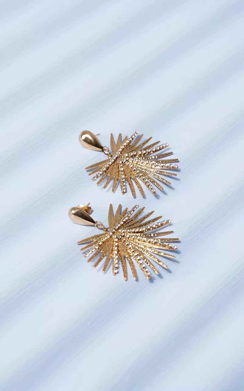 Earrings made of stainless steel Gold Silver