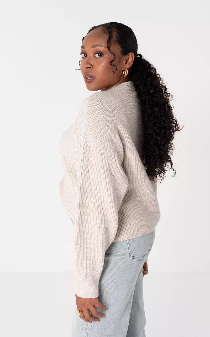 Sweater with round neck Beige