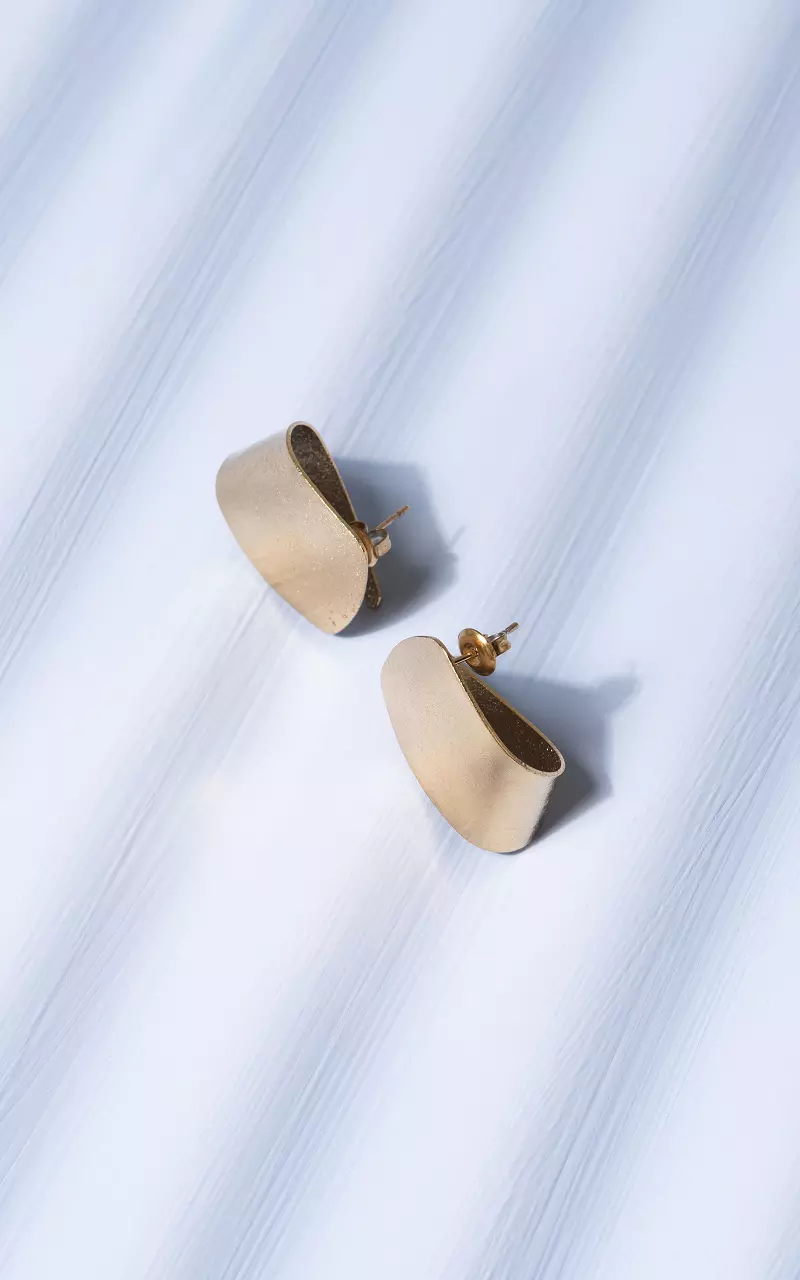 Oorbellen van stainless steel Goud