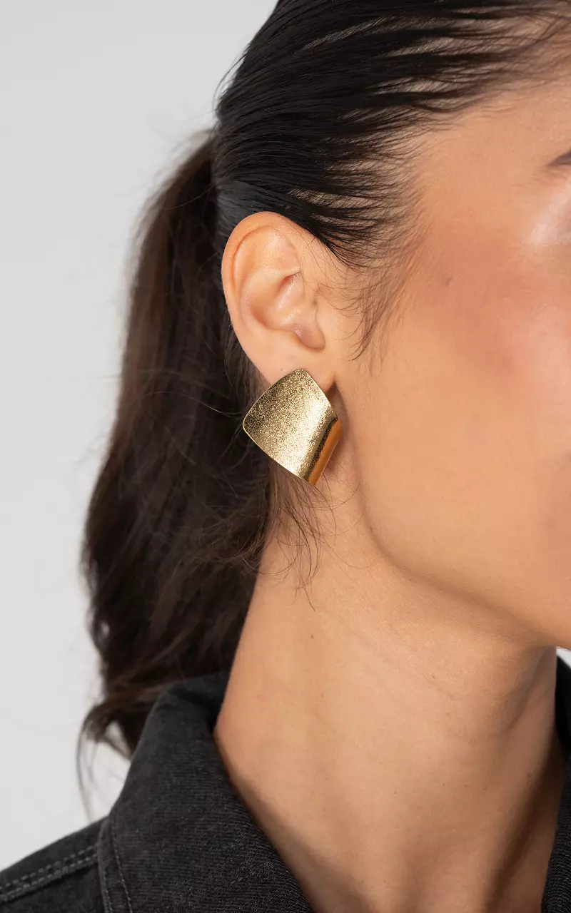Oorbellen van stainless steel Goud