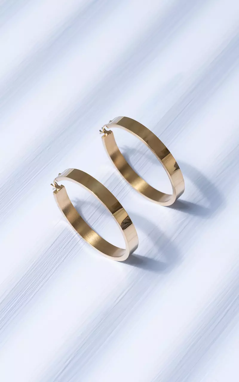 Hoop earrings made of stainless steel Gold