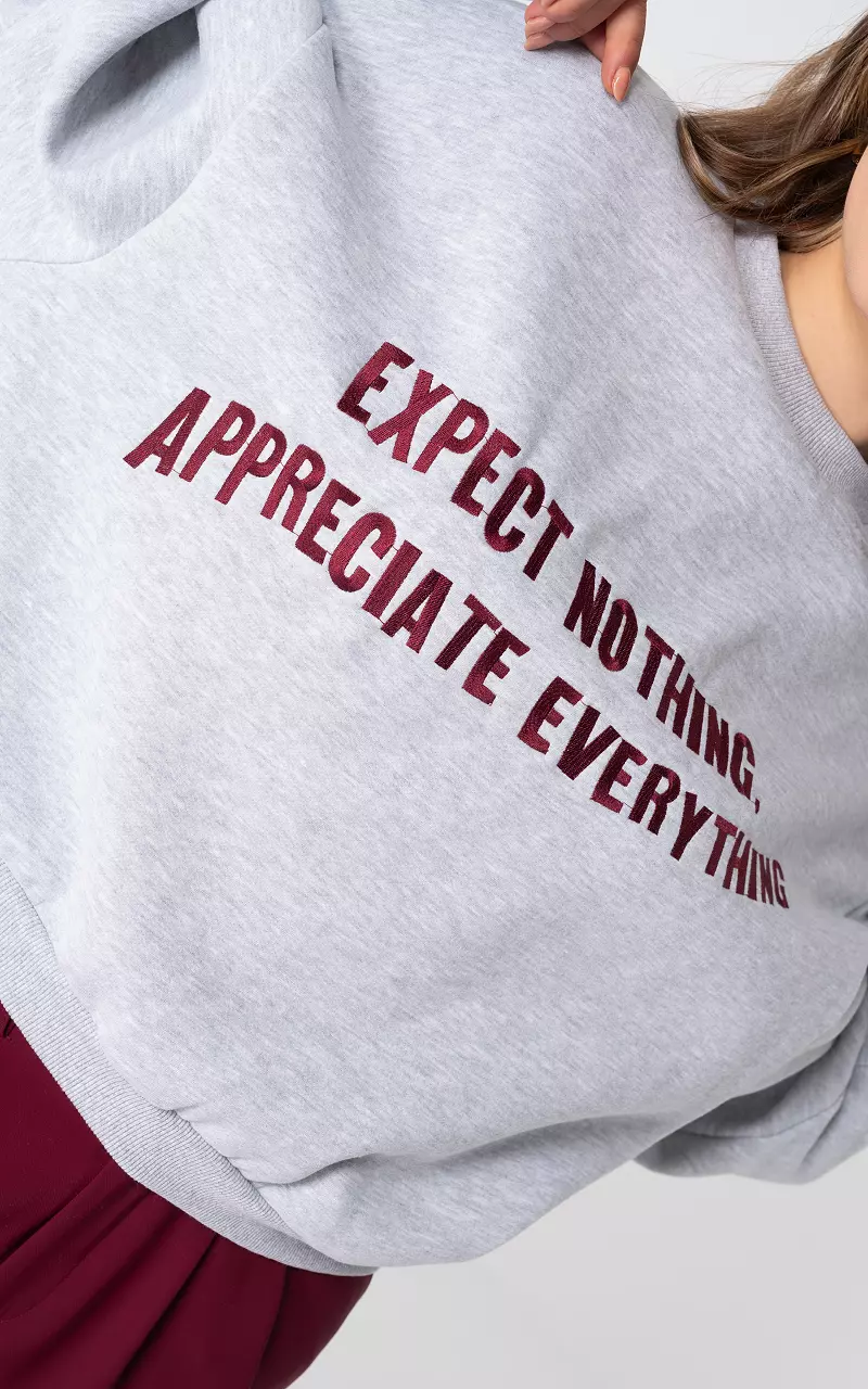 Pullover mit Text Hellgrau Bordeaux