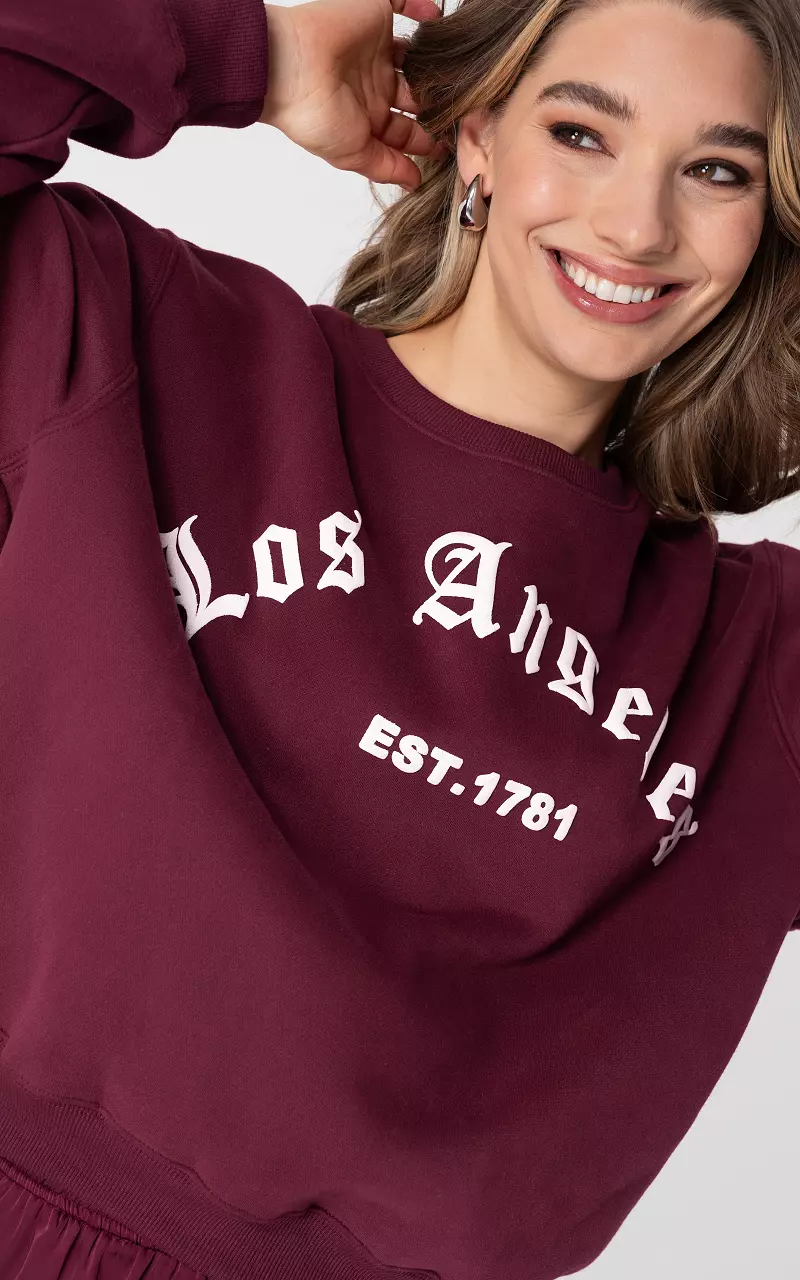 Oversized trui met ronde hals Bordeaux Wit