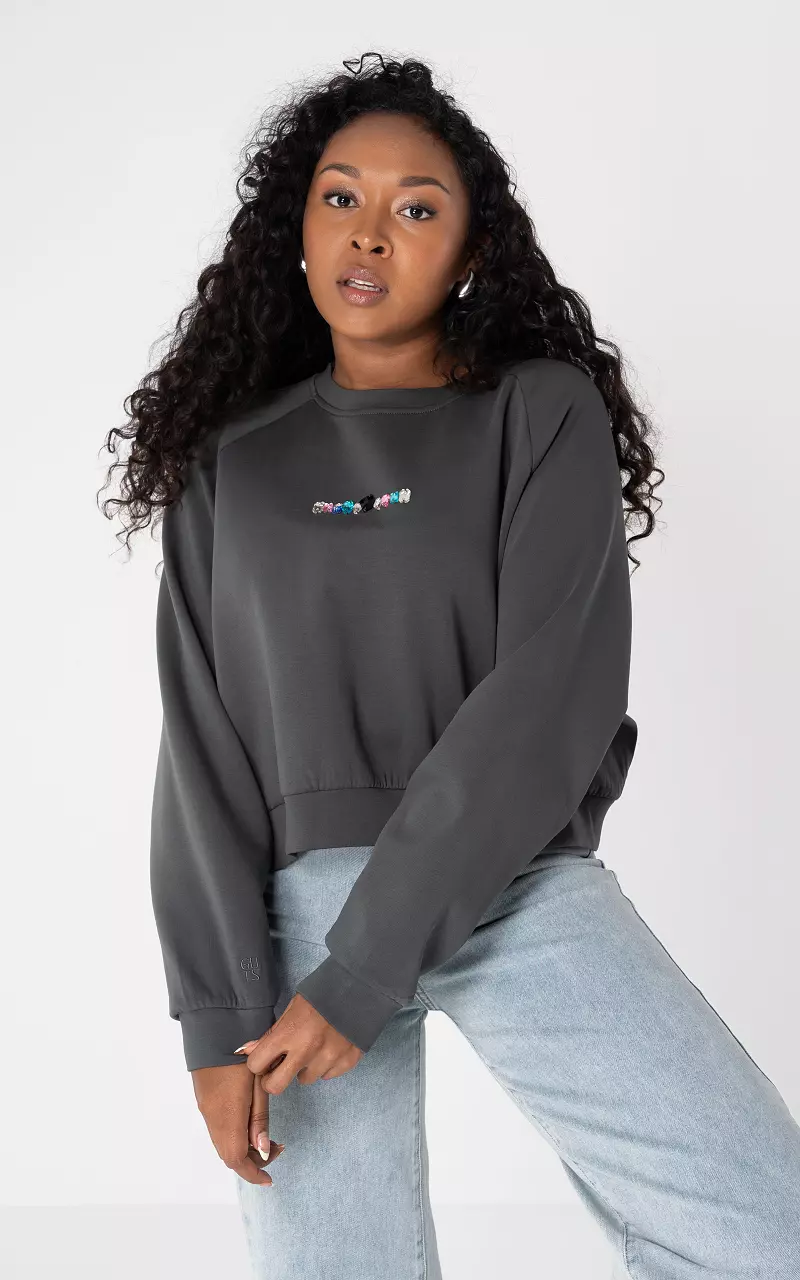 Pullover mit Steinchen Dunkelgrau