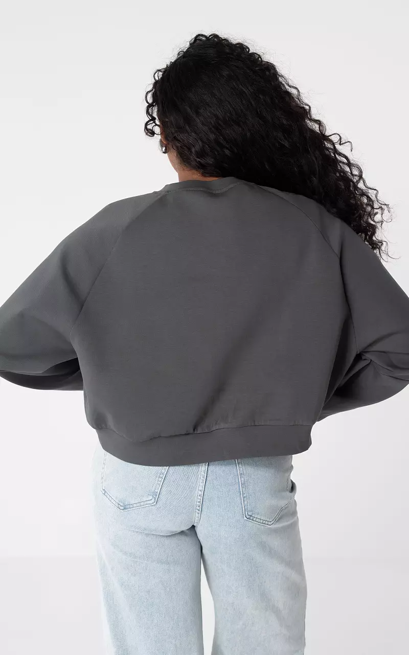 Pullover mit Steinchen Dunkelgrau