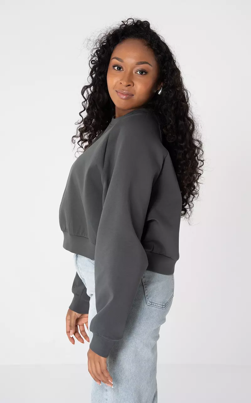 Pullover mit Steinchen Dunkelgrau