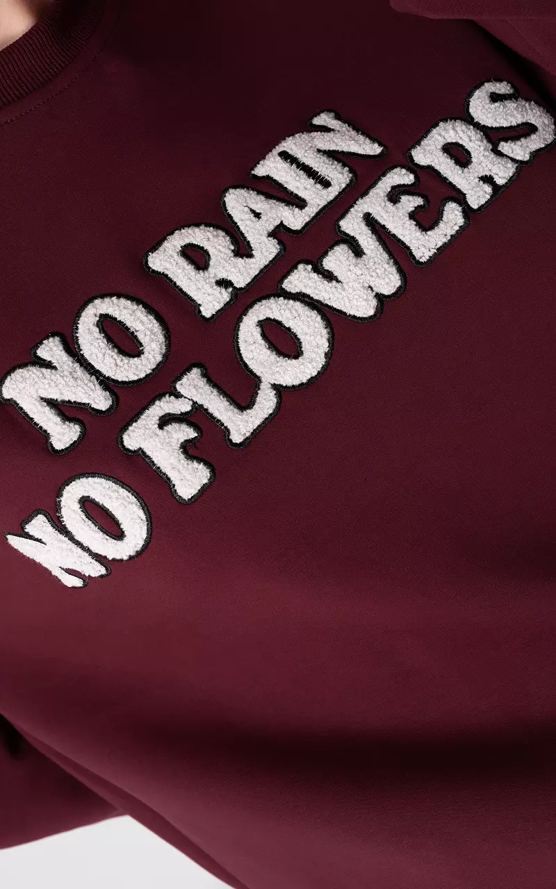 Sweater with embroidered text Bordeaux White