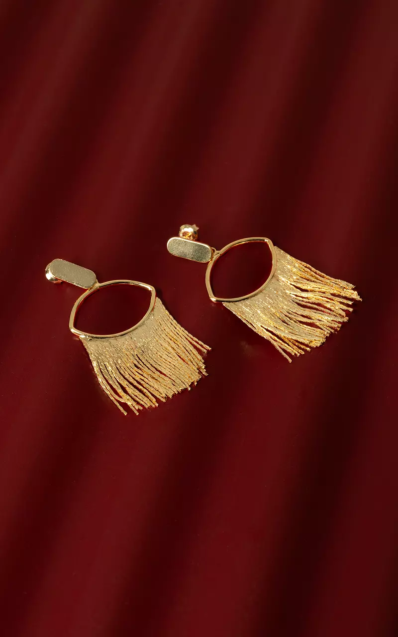 Earrings made of stainless steel Gold