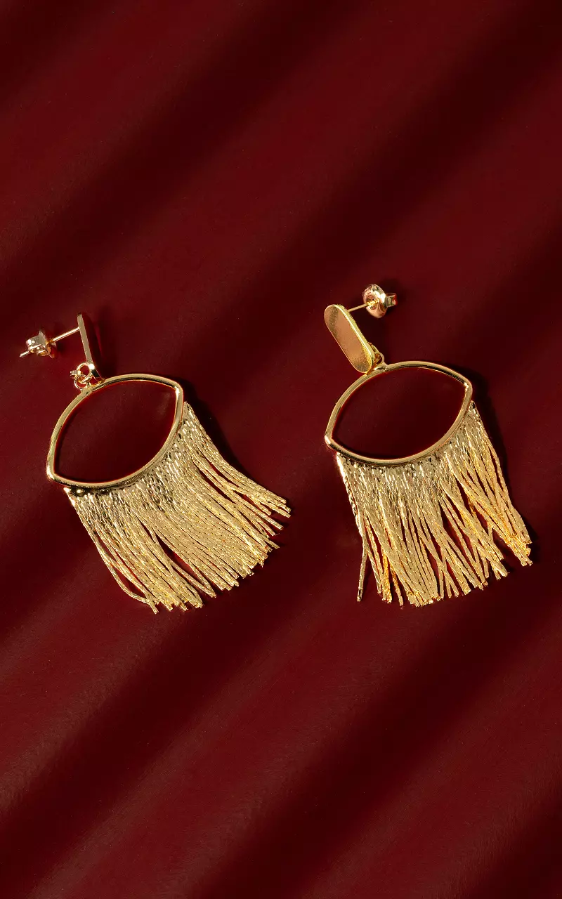 Earrings made of stainless steel Gold