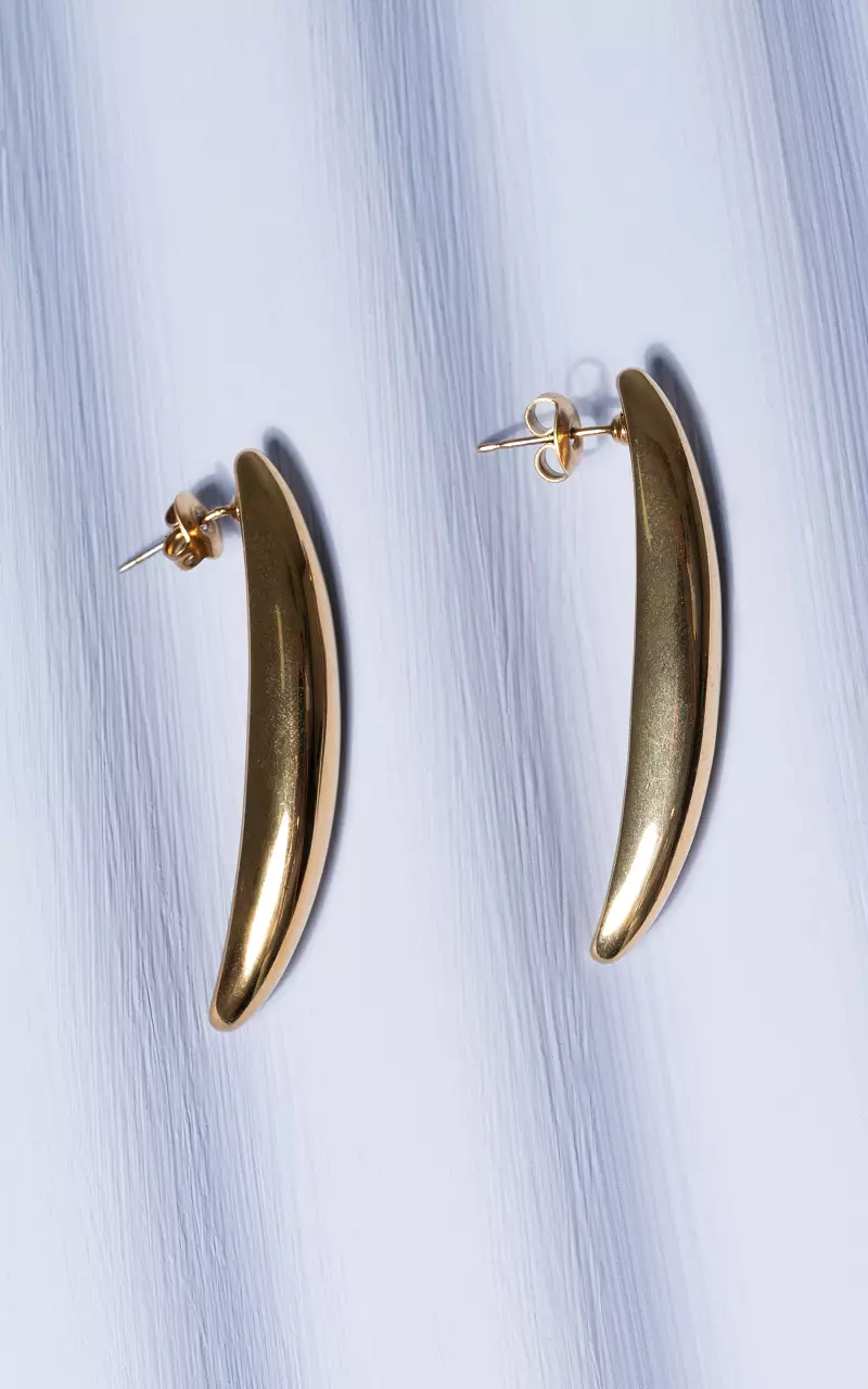 Earrings made of stainless steel Gold