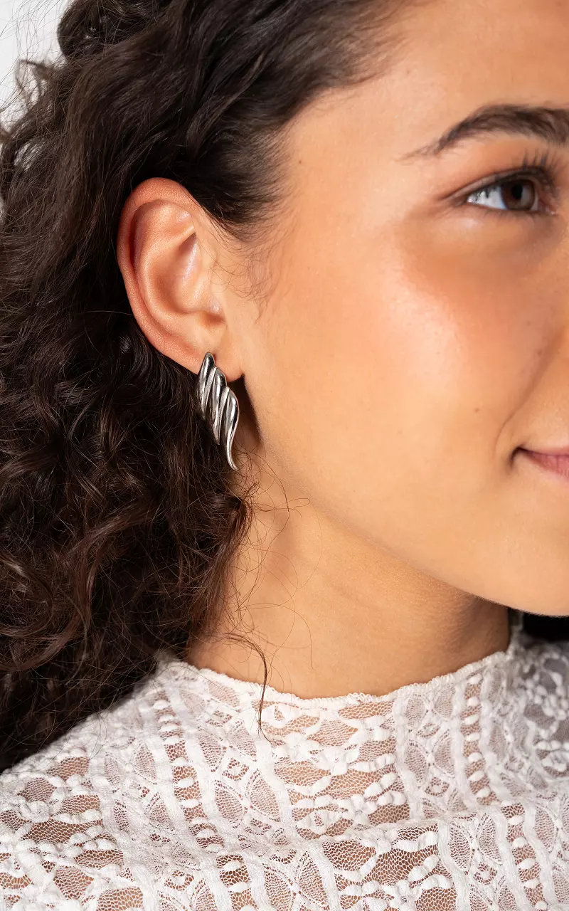 Earrings made of stainless steel Silver