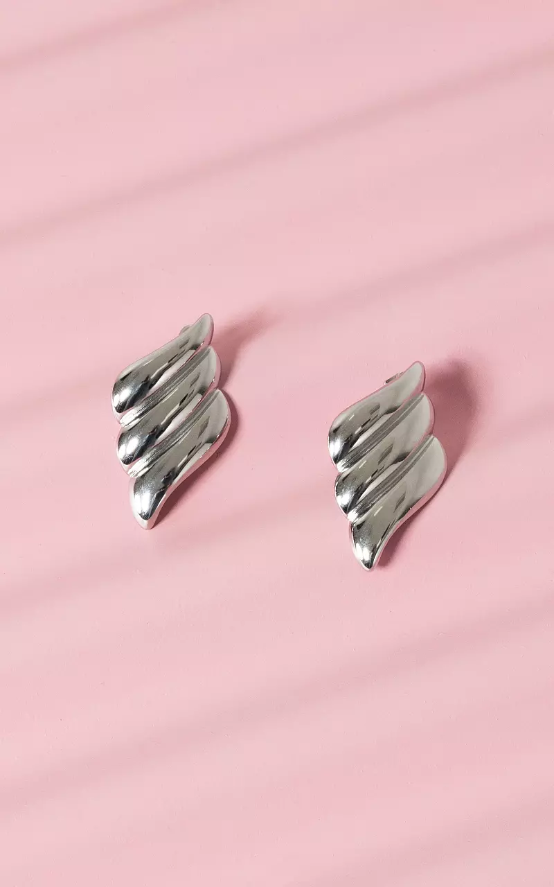 Earrings made of stainless steel Silver