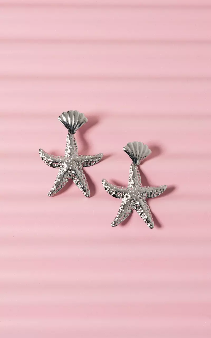 Oorbellen van stainless steel Zilver