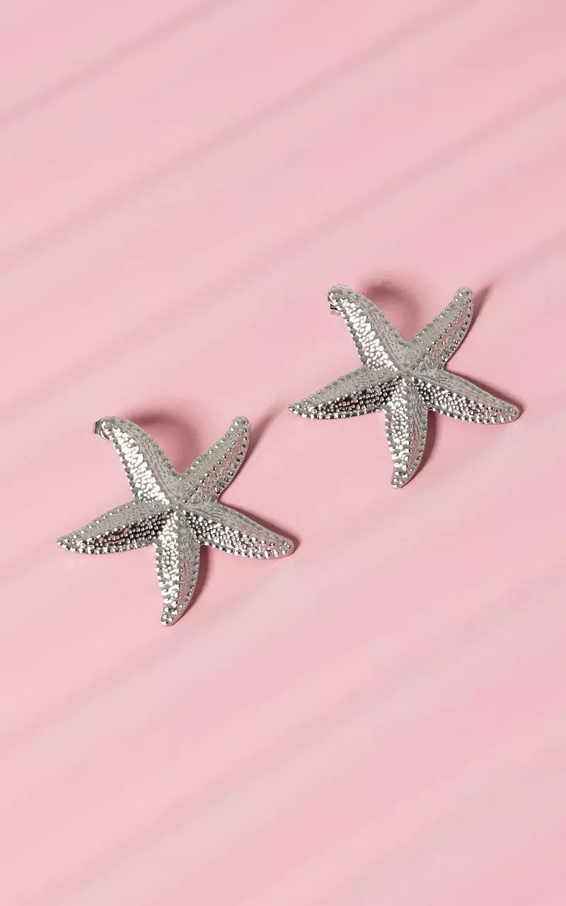 Earrings made of stainless steel Silver