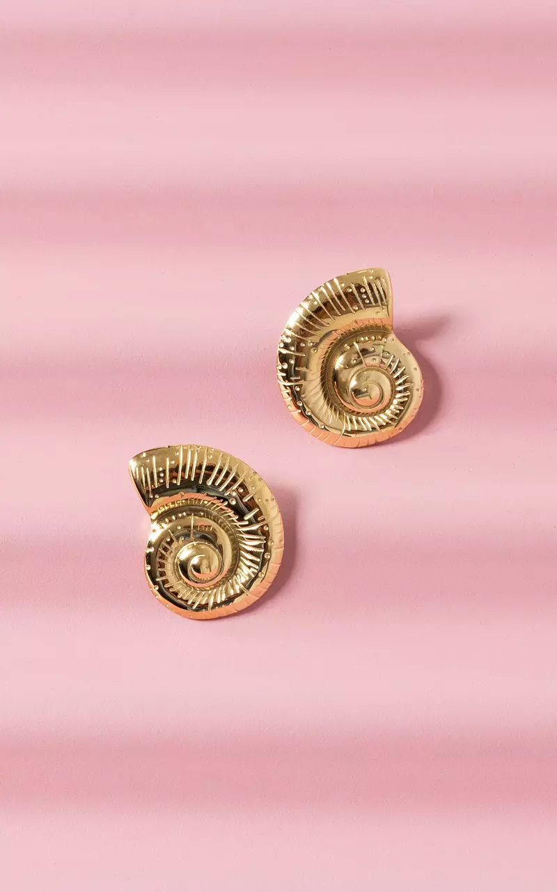 Boucles d’oreilles en acier inoxydable Or