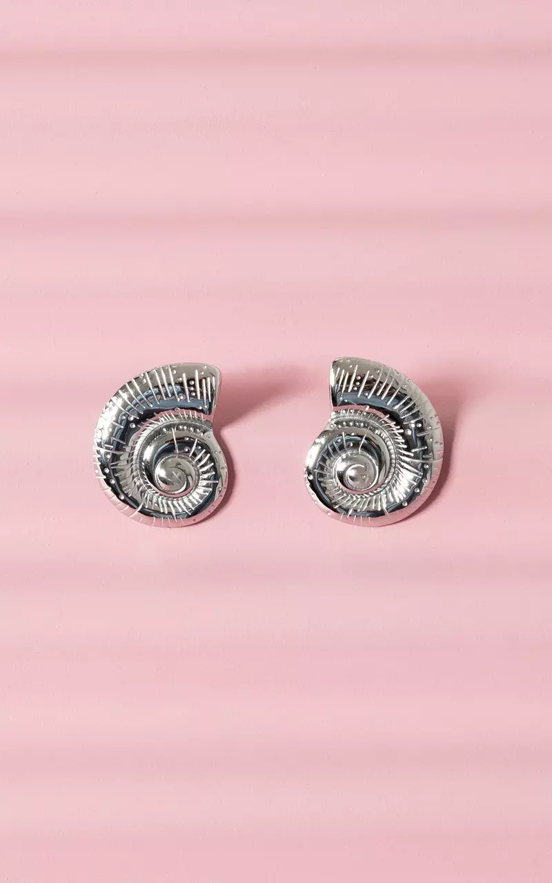 Boucles d’oreilles en acier inoxydable Argent