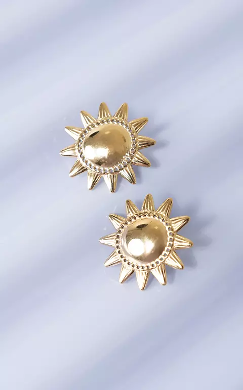 Boucles d’oreilles en acier inoxydable or