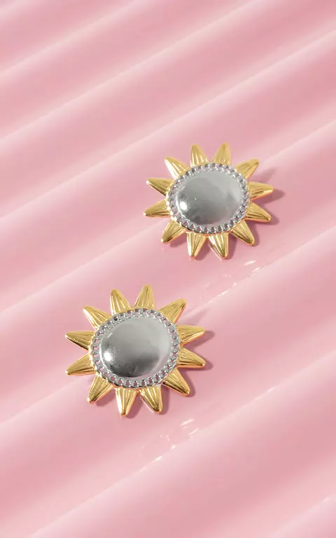 Stainless steel earrings gold silver