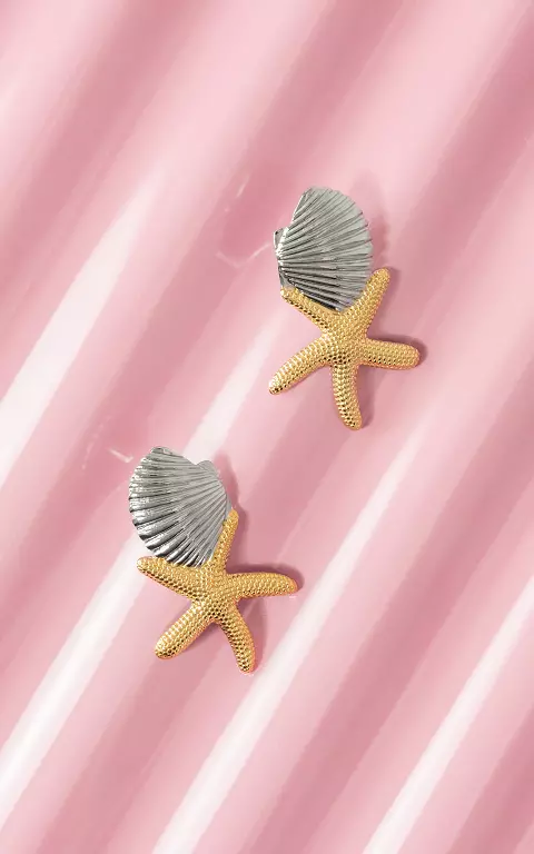 Stainless steel earrings silver gold