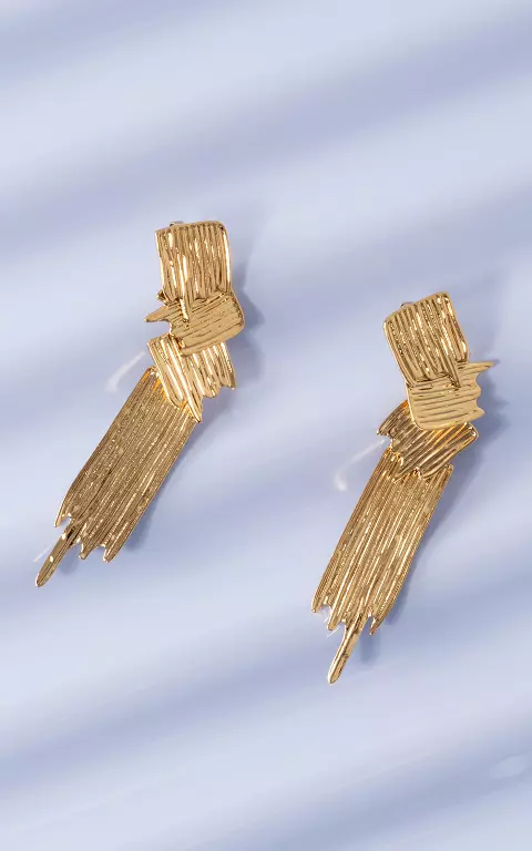 Stainless steel oorbellen goud