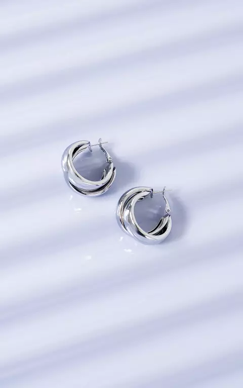 Oorbellen zilver