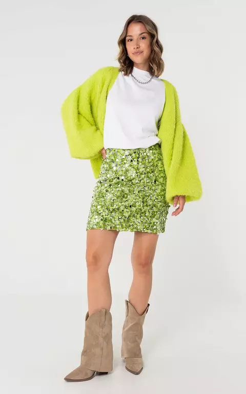 Rok met pailletten groen