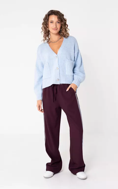Broek met streep bordeaux lichtblauw