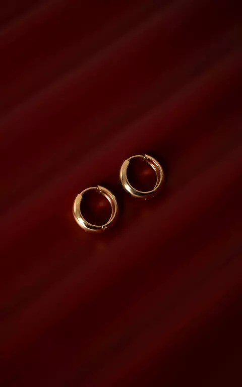 Closed earrings gold