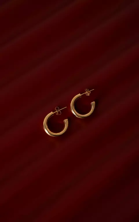 Closed earrings gold