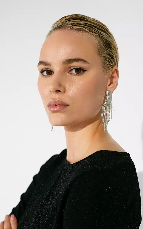 Earrings with stones silver