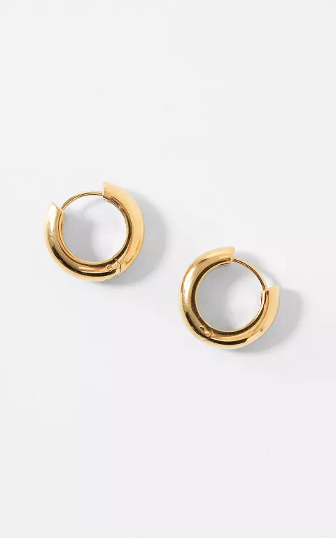 Hoop earrings gold