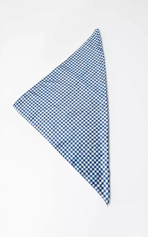 Scarf #108494 blue white