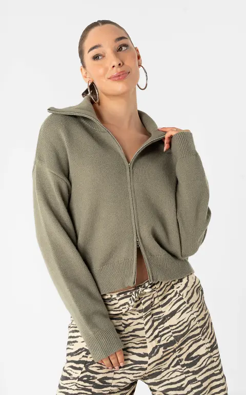 Cardigan mit Reißverschluss grün