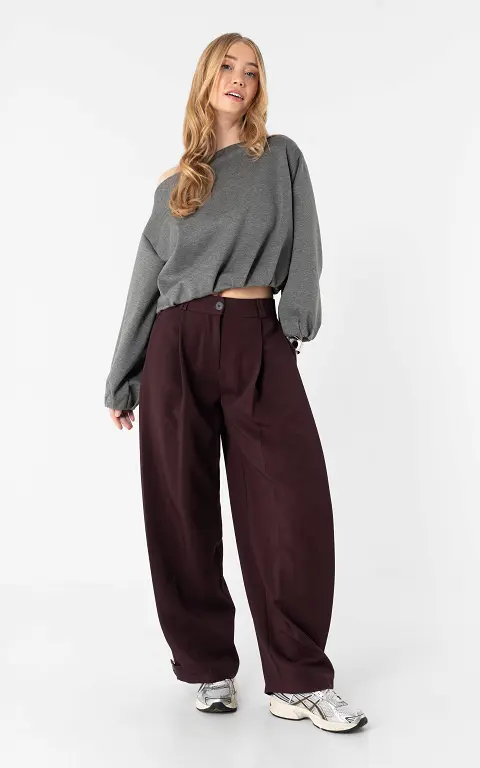 Balloon fit pantalon aubergine