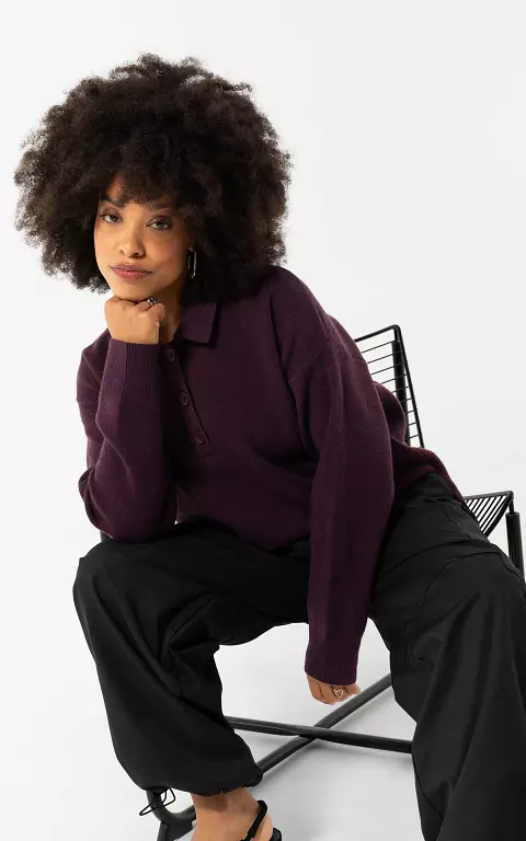Gestreifter Pullover mit Kragen aubergine