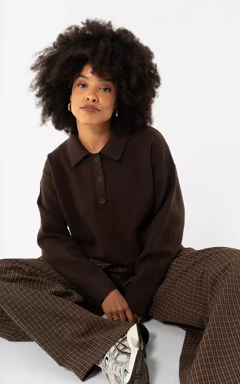 Gestreifter Pullover mit Kragen dunkelbraun
