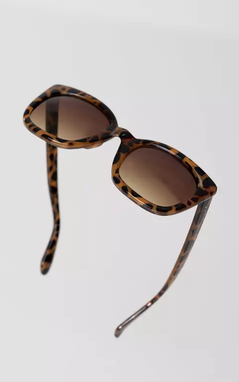 Tortoise brown sunglasses dark brown