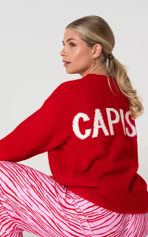 Sweater with text at the back red white
