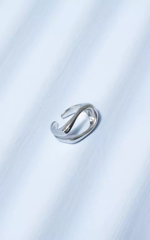Ring van stainless steel zilver