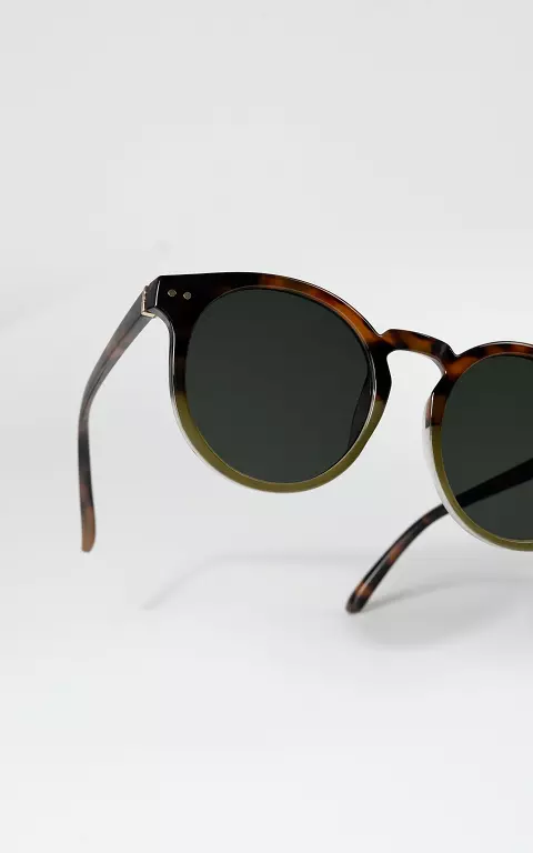 Sunglasses #96801 brown green