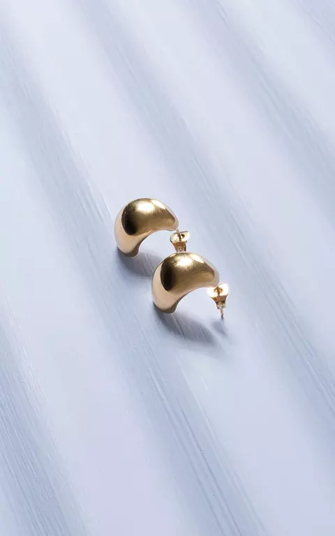 Earrings made of stainless steel gold