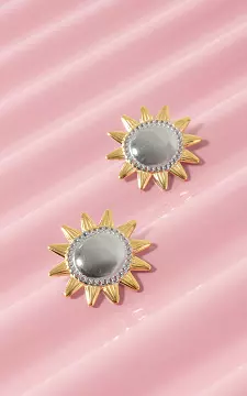 Stainless steel earrings | Gold Silver | Guts & Gusto