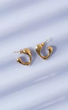 Stainless steel oorbellen | Goud | Guts & Gusto