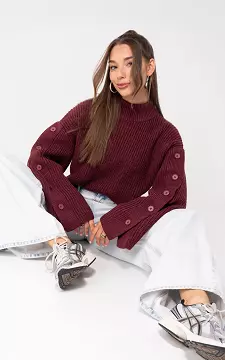 Turtleneck trui | Bordeaux | Guts & Gusto