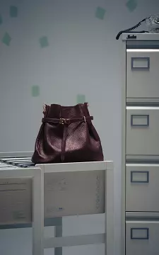 Bag #104732 | Bordeaux | Guts & Gusto